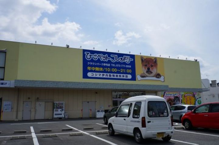 ハイツICHIUの周辺