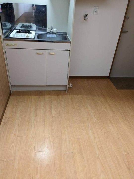 ライフピアモナークの内装