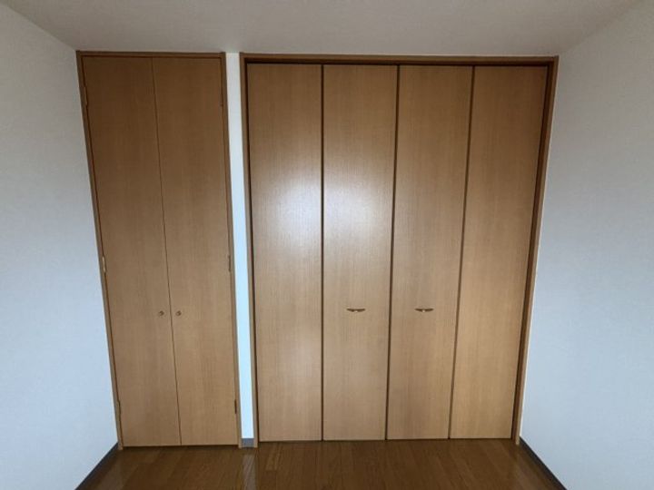 新潟県新潟市江南区亀田(マンション)の賃貸物件の内装