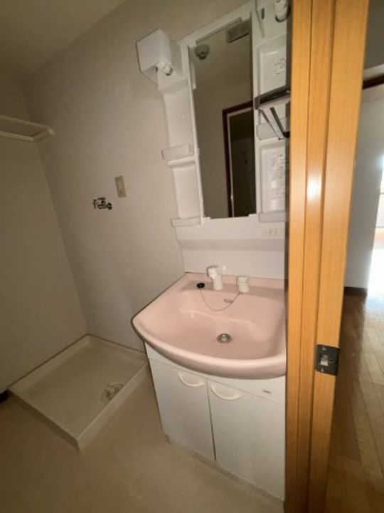 新潟県新潟市江南区亀田(マンション)の賃貸物件の内装