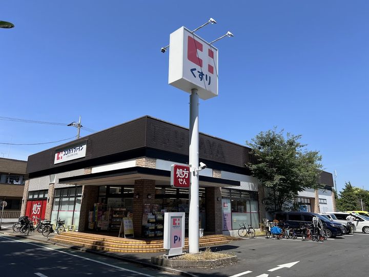 東京都世田谷区成城8(一戸建)の賃貸物件の周辺