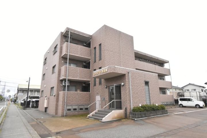 新潟県新潟市江南区亀田(マンション)の賃貸物件の外観