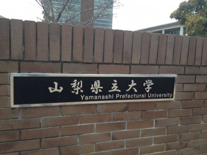 シティアガーデン甲府の周辺