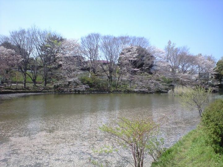 神奈川県横浜市港北区篠原東1(アパート)の賃貸物件の周辺