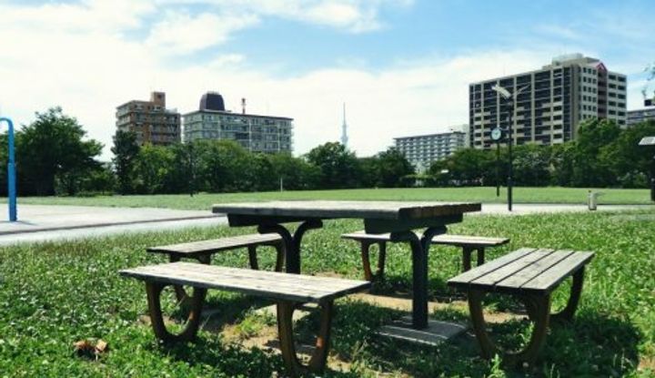 東京都江東区大島8(マンション)の賃貸物件の周辺