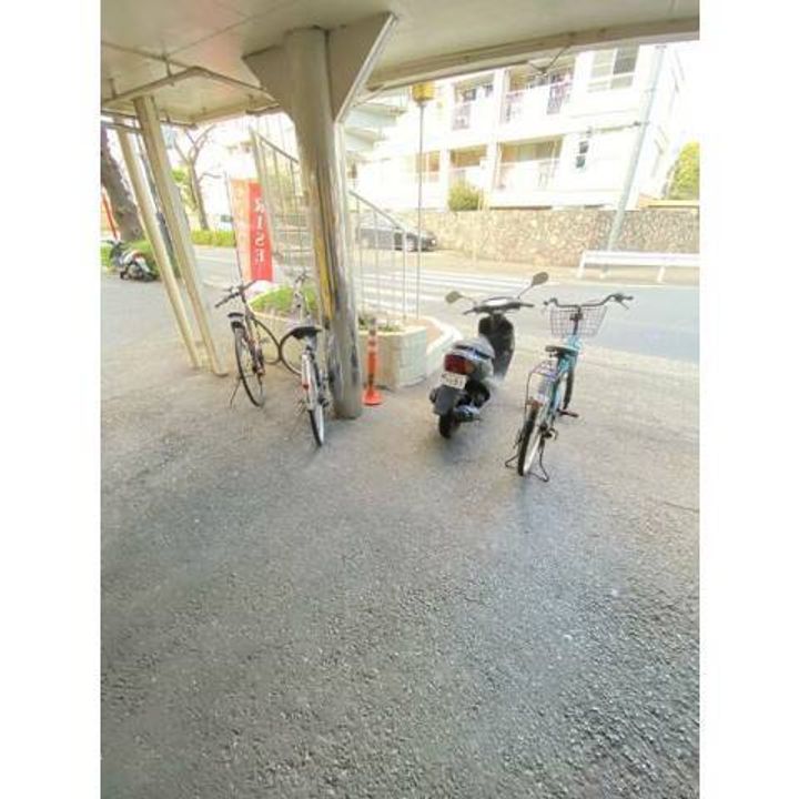 チェリーブロッサムのその他画像