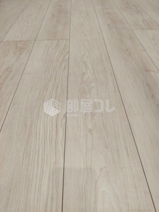 プレシャス方南町の居間