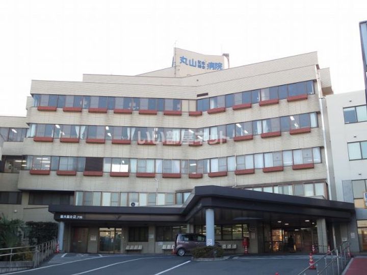 埼玉県さいたま市岩槻区本町3(アパート)の賃貸物件の周辺