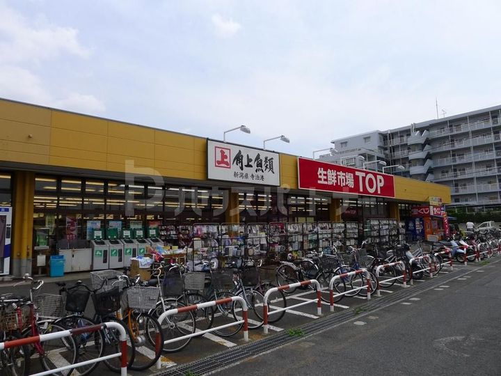 コーポ逆井の周辺