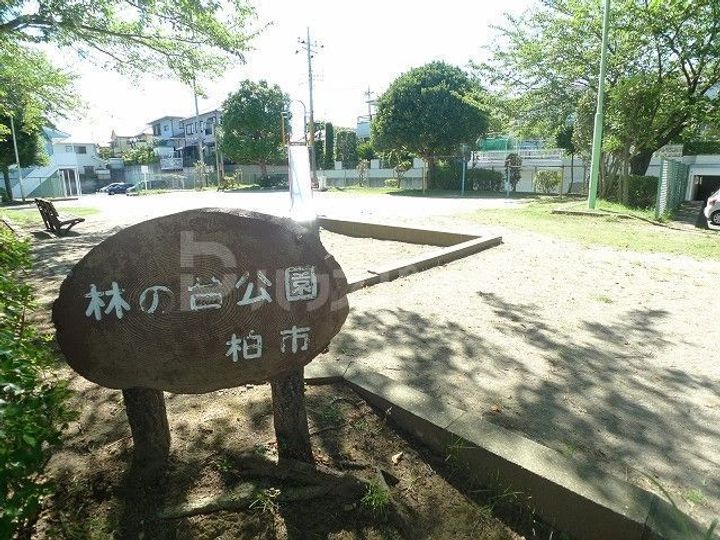 コーポ逆井の周辺