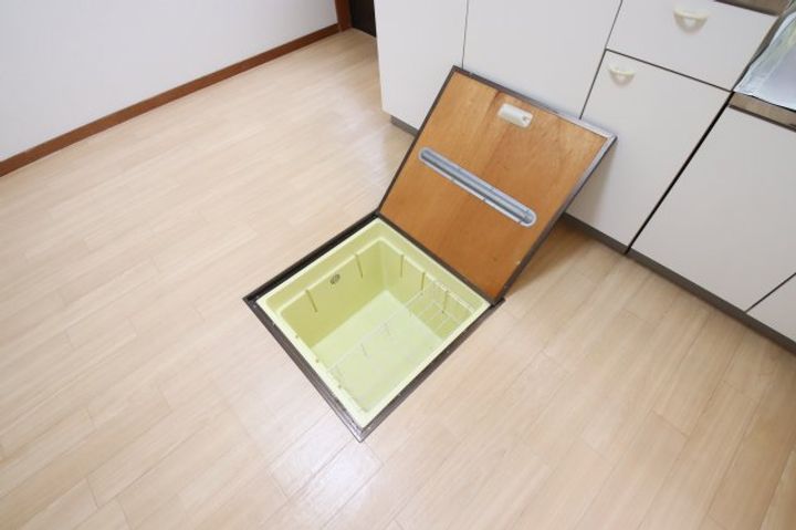 大阪府堺市美原区多治井(一戸建)の賃貸物件の内装