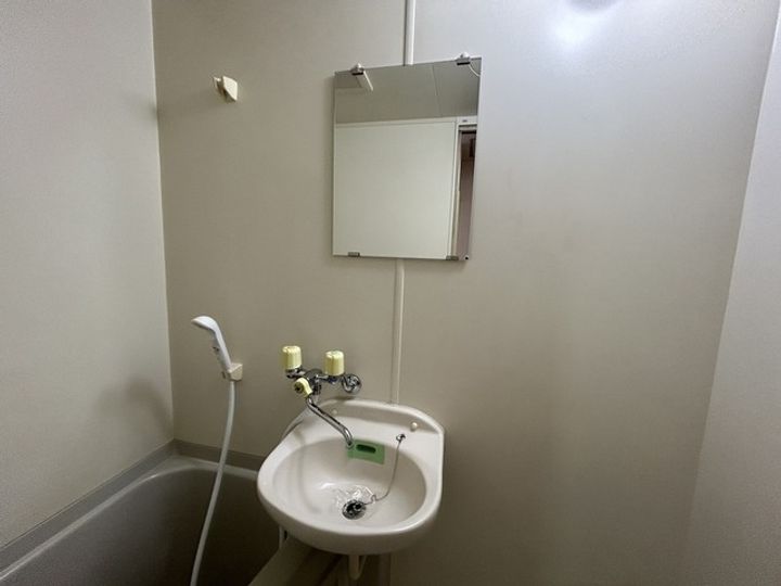 広島県広島市安佐南区伴東5(マンション)の賃貸物件の内装