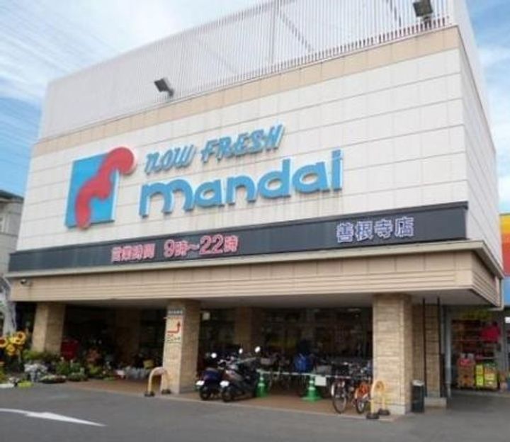 ニードルスの周辺