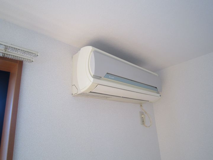 ピースフルネモトの内装