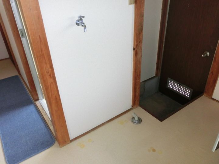 栃木県佐野市犬伏上町(一戸建)の賃貸物件の内装