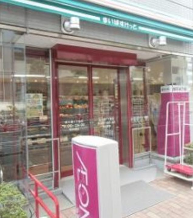 東京都墨田区立川4(マンション)の賃貸物件の周辺