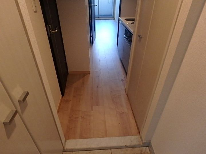 アヴァンツァーレ新宿ピアチェーレの玄関