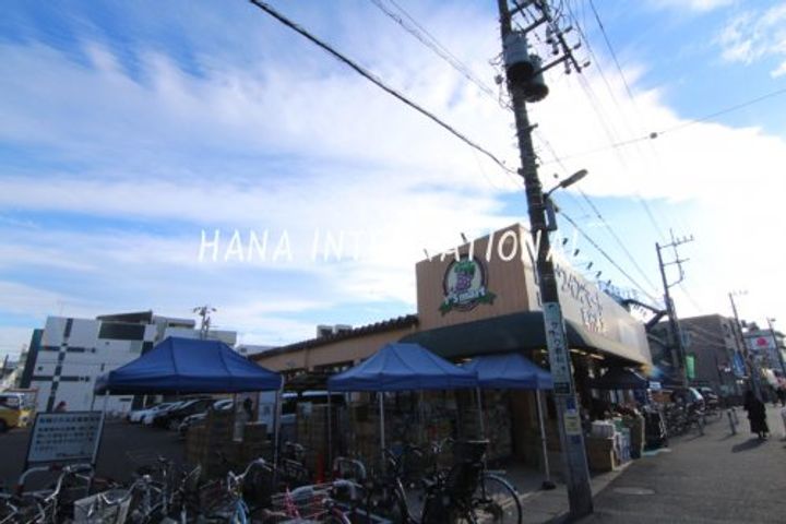 葵マンションの周辺