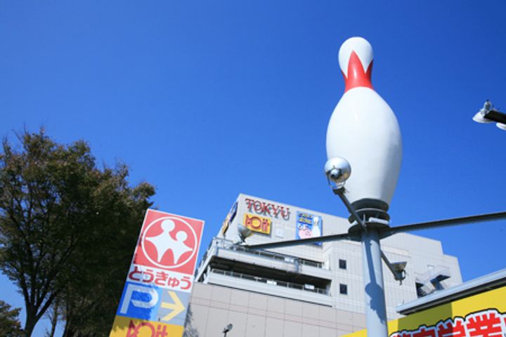 神奈川県藤沢市大庭(マンション)の賃貸物件の周辺
