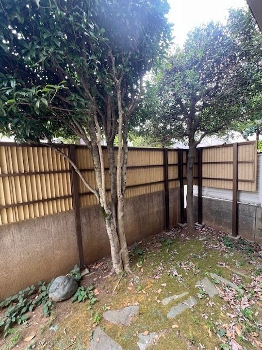 東京都渋谷区代々木5(一戸建)の賃貸物件の内装