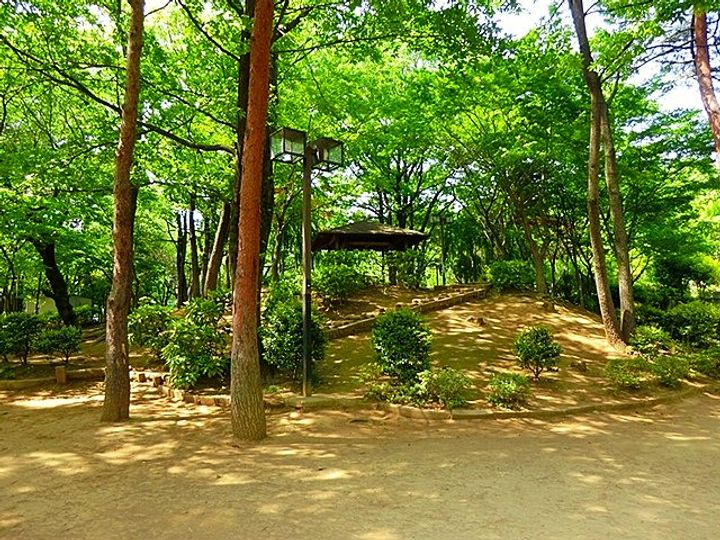 東京都小平市上水本町5(マンション)の賃貸物件の周辺
