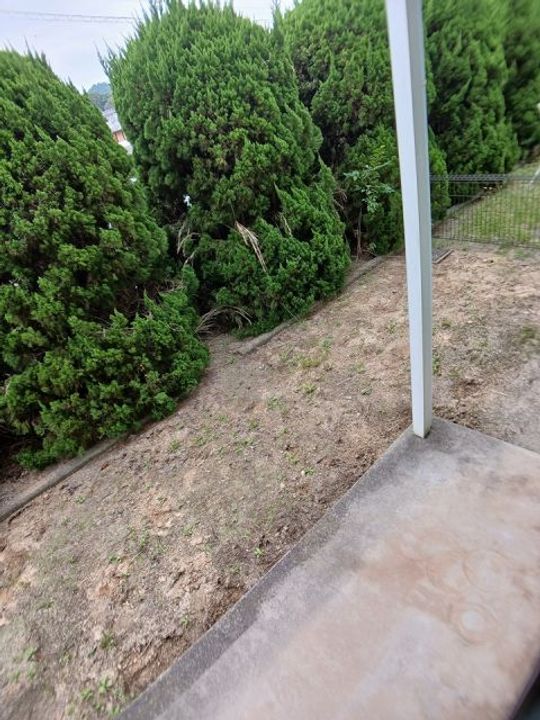 岡山県浅口郡里庄町大字新庄グリーンクレスト(アパート)の賃貸物件の内装