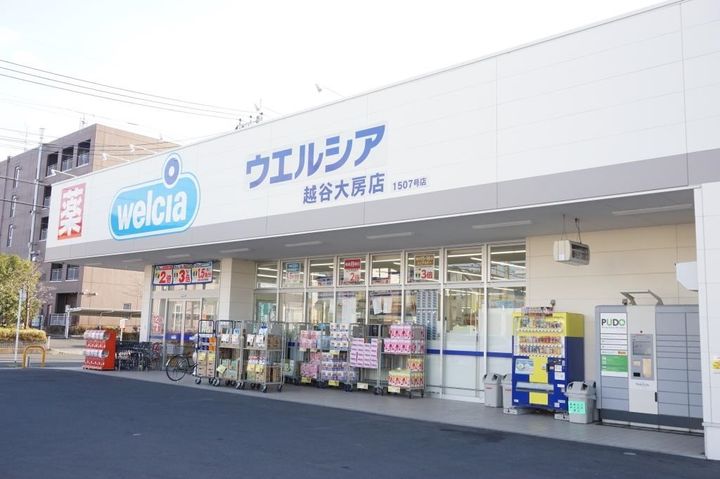 アネックス北越谷プラザの周辺