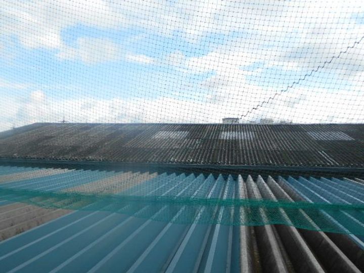 エントピア嵐山のその他画像