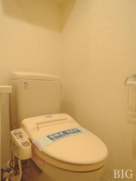 東京都大田区田園調布本町(マンション)の賃貸物件の内装