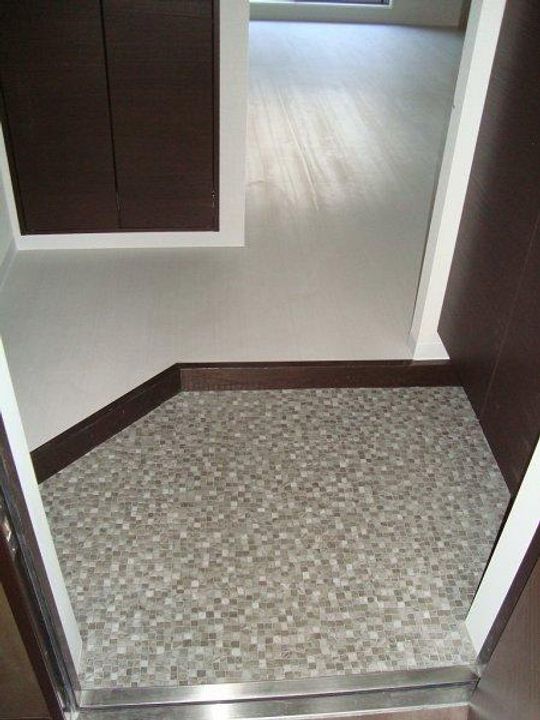 東京都台東区元浅草3(マンション)の賃貸物件の玄関