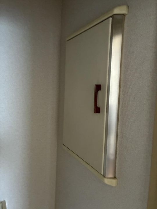 埼玉県三郷市上口1(一戸建)の賃貸物件の内装