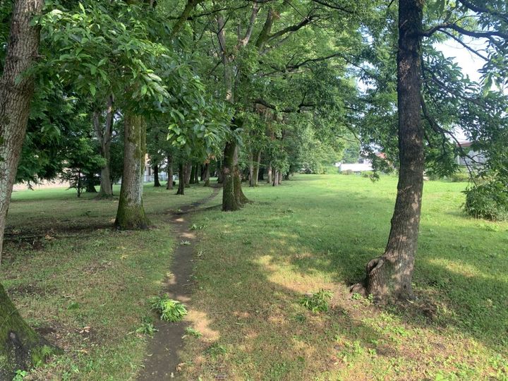 東京都八王子市川口町(マンション)の賃貸物件の周辺