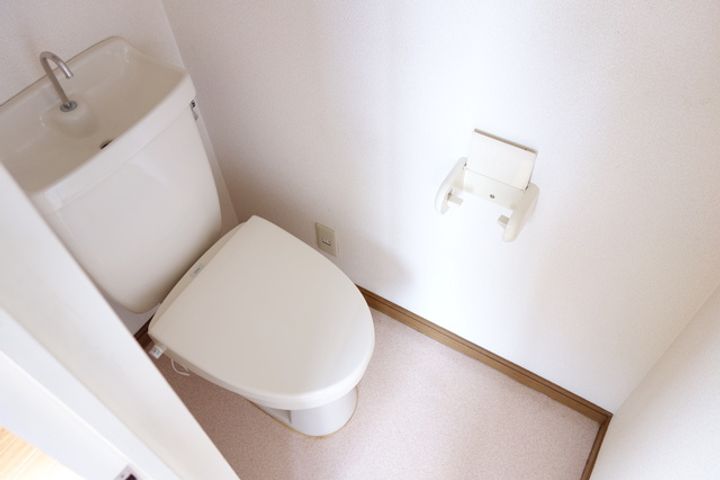 新潟県新発田市舟入町2(アパート)の賃貸物件の内装