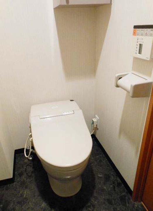 東京都港区高輪2(マンション)の賃貸物件の内装