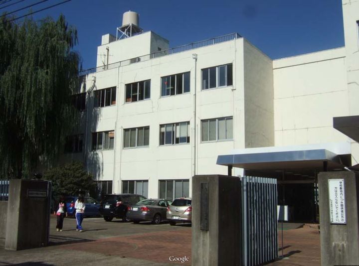 神奈川県川崎市中原区新丸子町(マンション)の賃貸物件の周辺