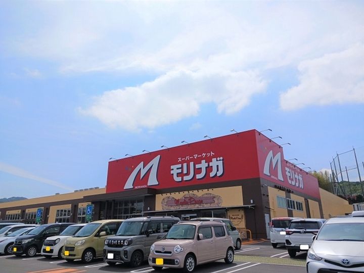 ブッドレア ジョイン Iの周辺