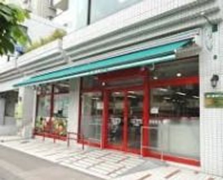 神奈川県横浜市神奈川区三ツ沢上町(一戸建)の賃貸物件の周辺