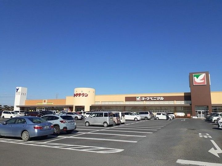 ハリエンジュの周辺