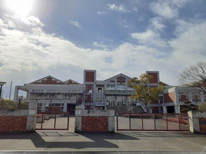 ハリエンジュの周辺