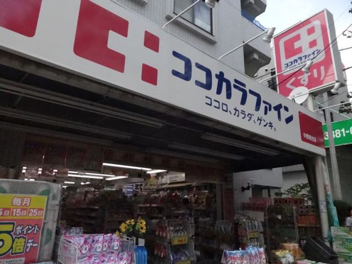 南ハウスの周辺
