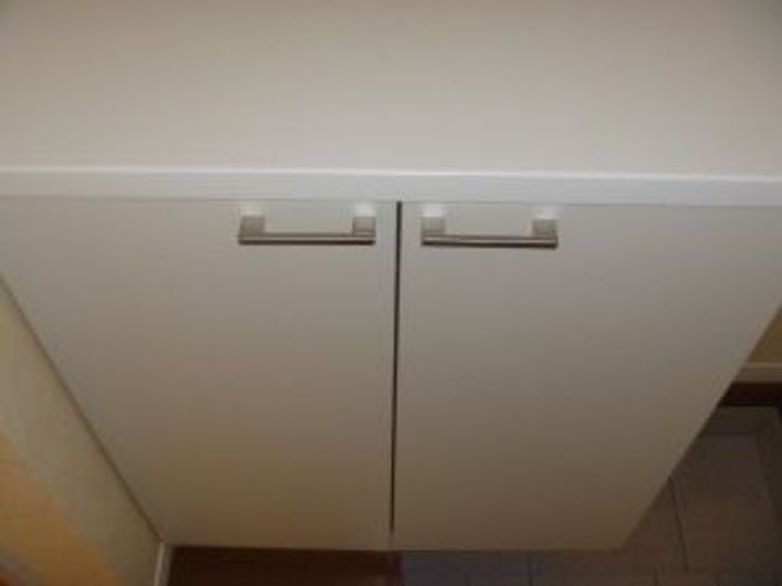 埼玉県さいたま市西区大字指扇(一戸建)の賃貸物件の玄関