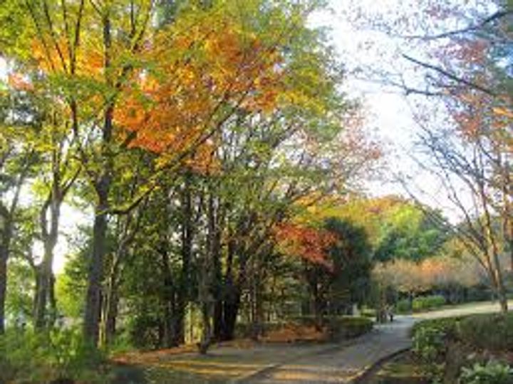 代々木メゾンエイトの周辺