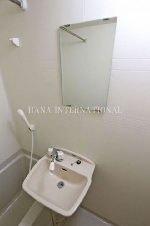 埼玉県越谷市大字大道(マンション)の賃貸物件の内装