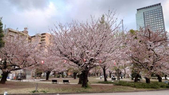 コンシェリアR錦糸町の周辺