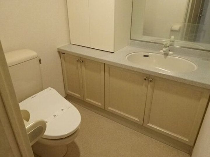 ライオンズステージ上野毛の内装