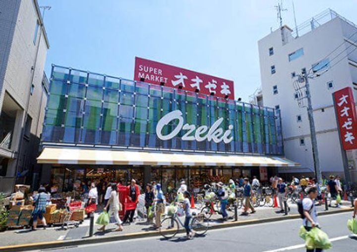 ライオンズステージ上野毛の周辺