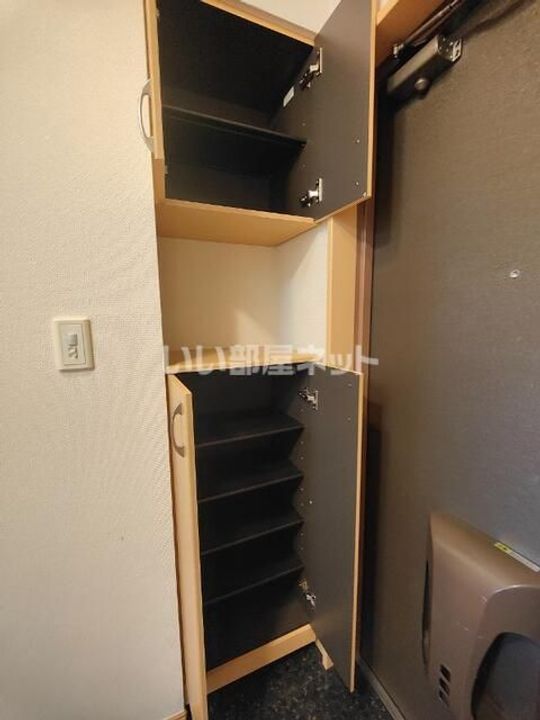 埼玉県羽生市大字小松(マンション)の賃貸物件の玄関