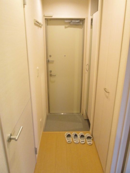 神奈川県藤沢市菖蒲沢(アパート)の賃貸物件の玄関