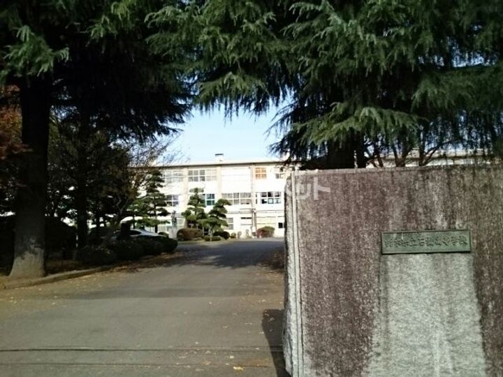 栃木県下野市石橋(一戸建)の賃貸物件の周辺