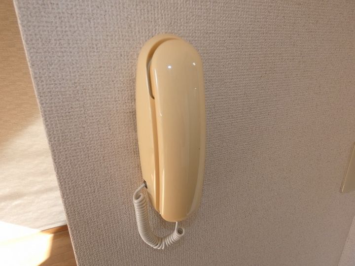 東京都昭島市美堀町5(アパート)の賃貸物件の内装